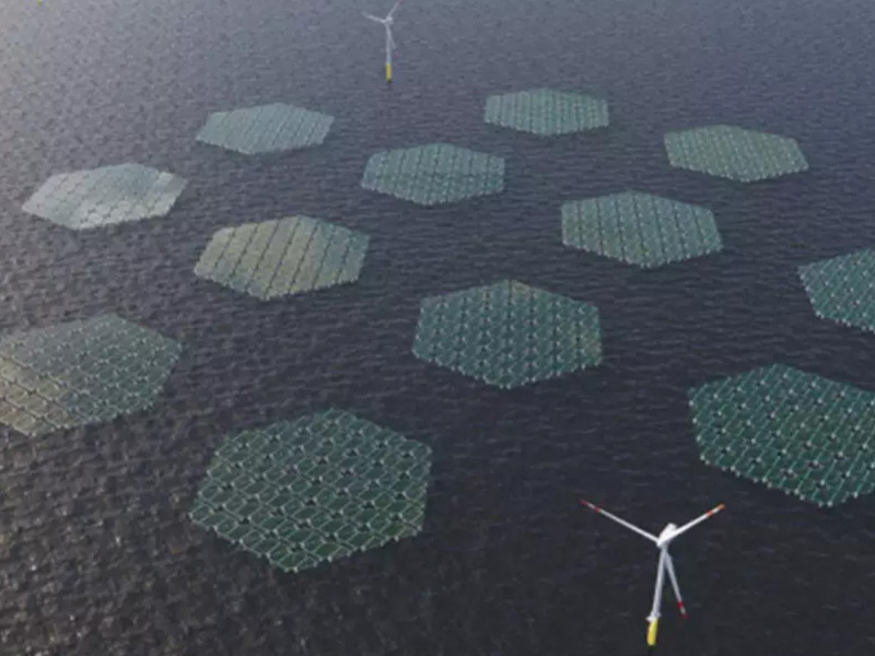 Comment les cellules photovoltaïques flottantes font sensation dans le monde entier