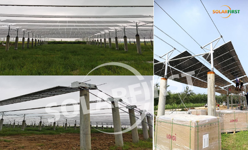 jiangsu hongsi 1mwp support de câble de suspension flexible-projet complémentaire agricole et solaire
